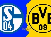 开云体育平台APP-关于波鸿迎战沙尔克，实力对比引发观赏热情的信息