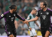 开云体育APP下载-法兰克福在主场力克对手保持领先的简单介绍