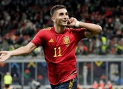 开云体育中国官网-瑞典队逆转葡萄牙队，波尔高光表现的简单介绍