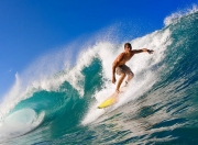 开云体育直播-跨越东西的统治力，公牛铁蹄踏平纽约，范弗利特闪耀国家德比