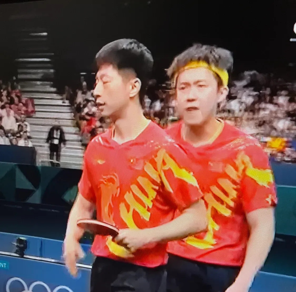 法国队逆转日本队，马龙带队取胜