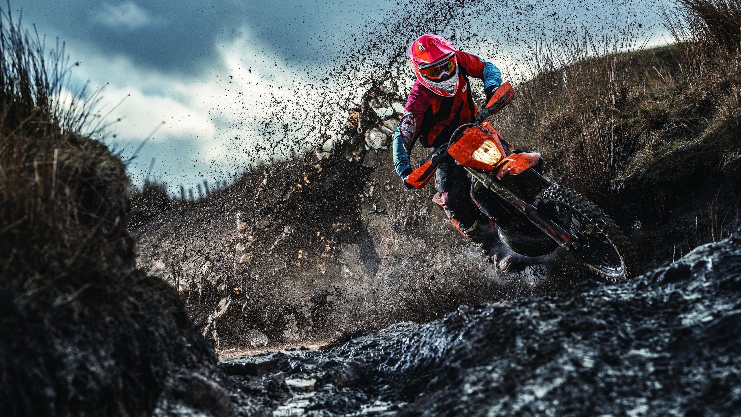 年度焦点之战之夜,莫兰特展现巨星价值